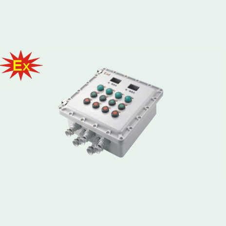 BXK系列防爆控制箱(ⅡB、ⅡC、Ex tD)